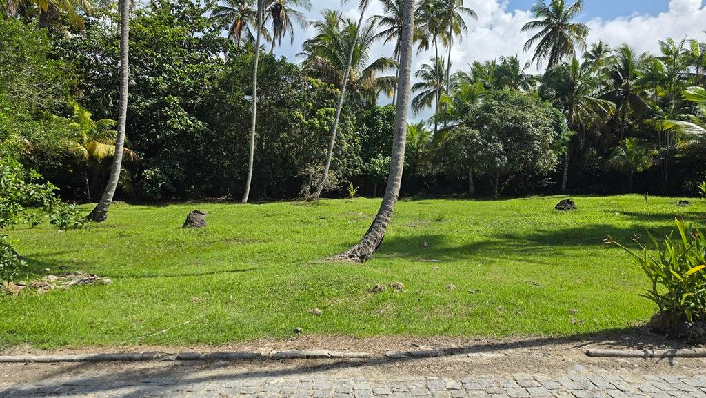 Terreno plano com coqueiros no Guaiú