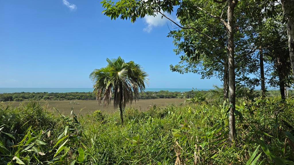 Terreno com vegetação e vista para o mar